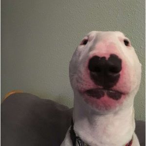 Meet your Posher, Holton